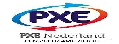 nieuwe-logo-pxe-nederland